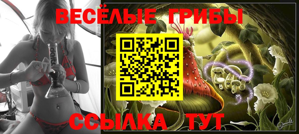 Галлюциногенные грибы прущие грибы Северск
