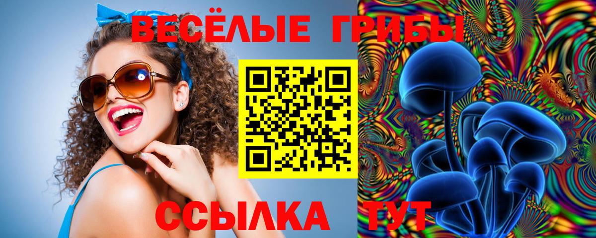 Северск  Псилоцибиновые грибы Psilocybine cubensis  Вход с VPN 