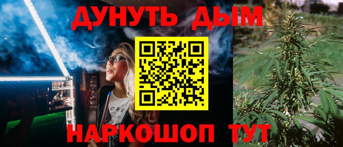 Канабис конопля Северск